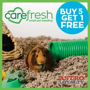 Carefresh Bedding |…