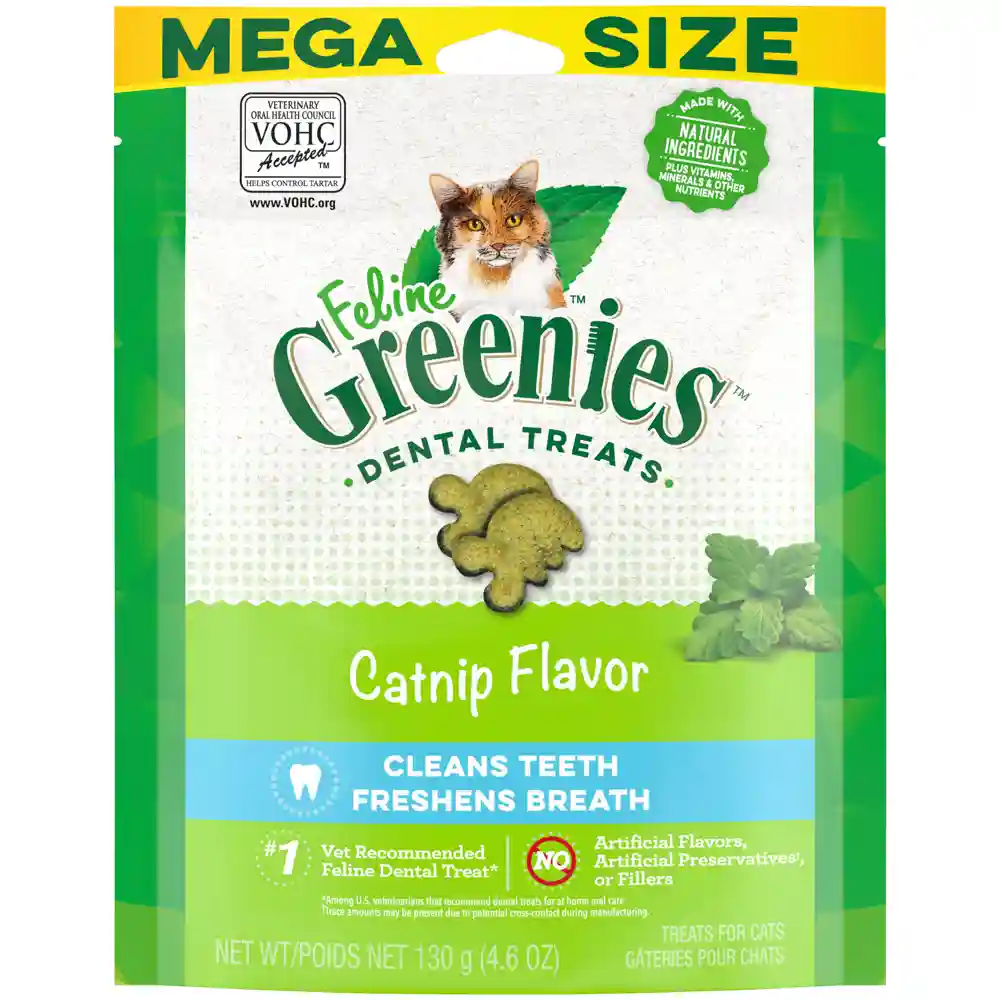 Adult Dental Care Catnip Cat Treats - 4oz Pouch