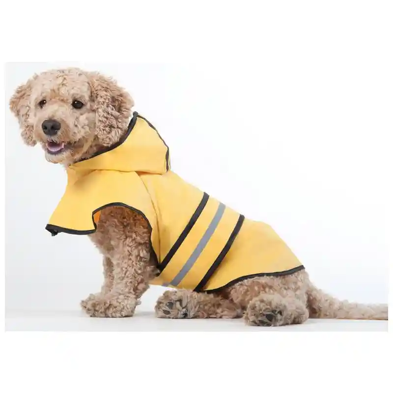 Rainy Days Slicker Yellow SM