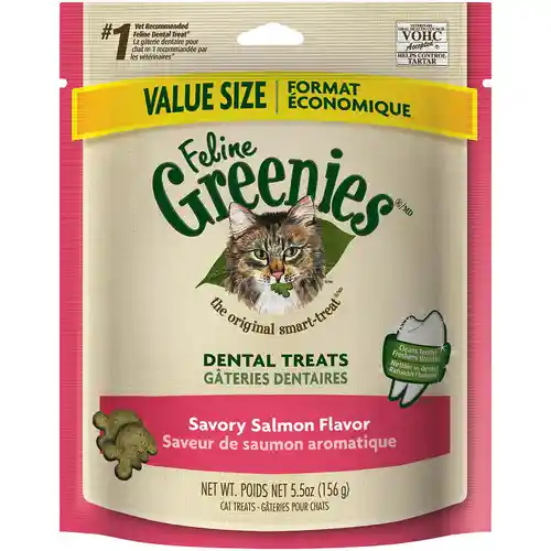 Adult Natural Dental Care Cat Treats Savory Salmon Flavor - 4.6oz Pouch
