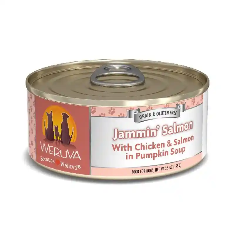 WRV JamminSalmon Dog Can 5.5oz