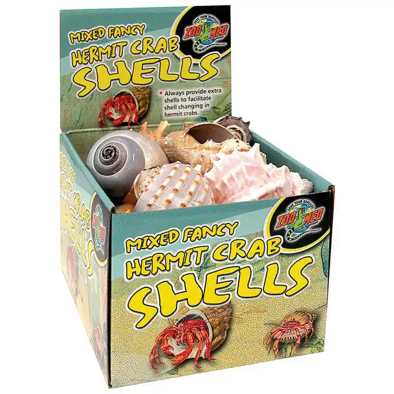 Zoo Hermit Crab Nat Shells 24ct Bulk