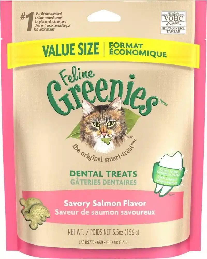 Adult Natural Dental Care Cat Treats Savory Salmon Flavor - 4.6oz Pouch