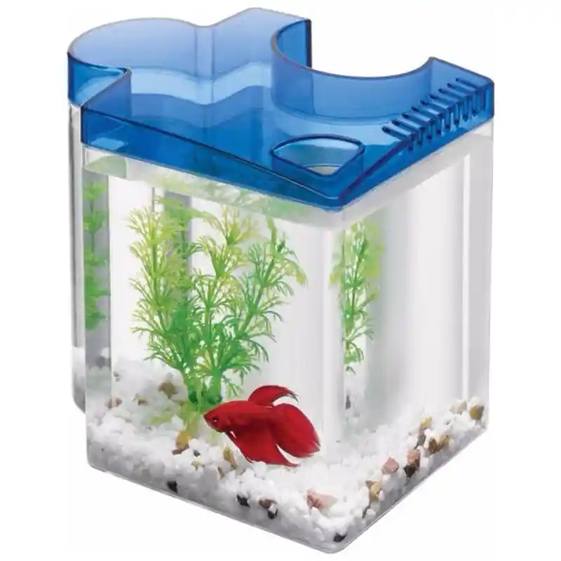 .5 Ga. Aqueon Betta Puzzle - Blue