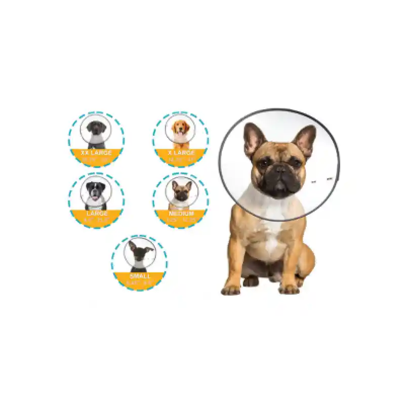 Zen E-Clear Cone XL