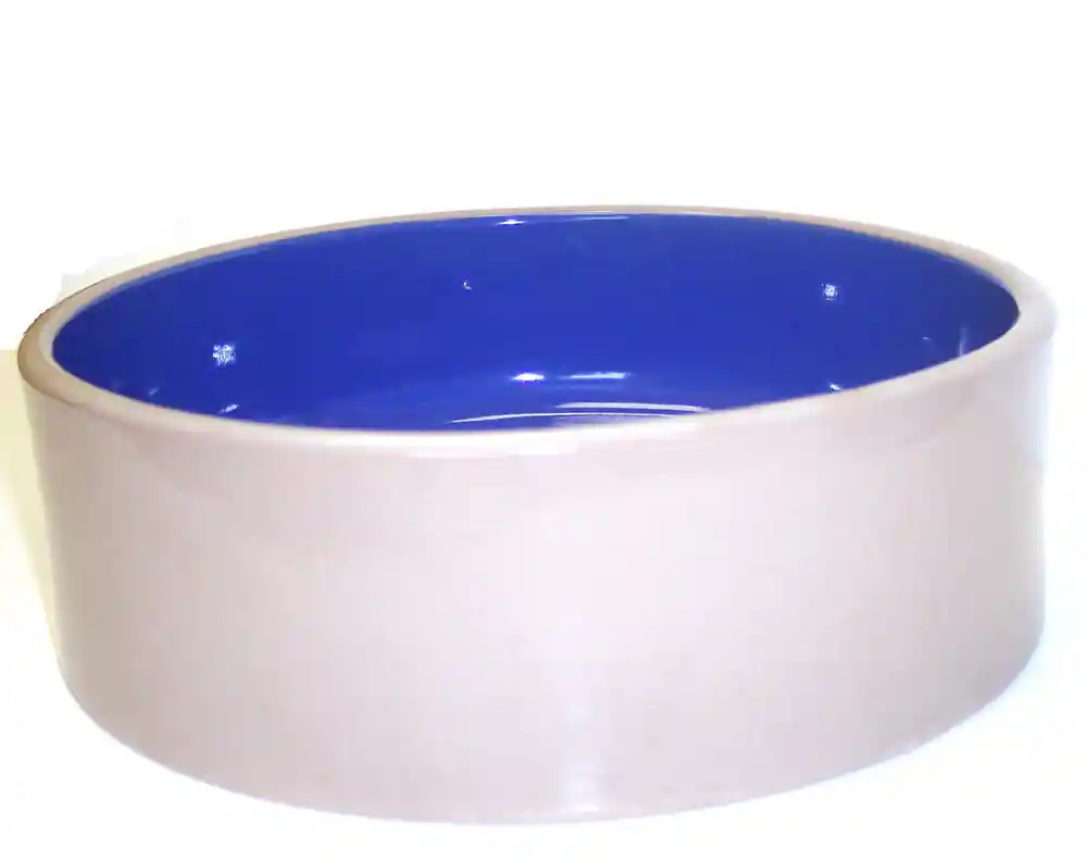 Stoneware Ceramic Dog Dish-blue 9.5"