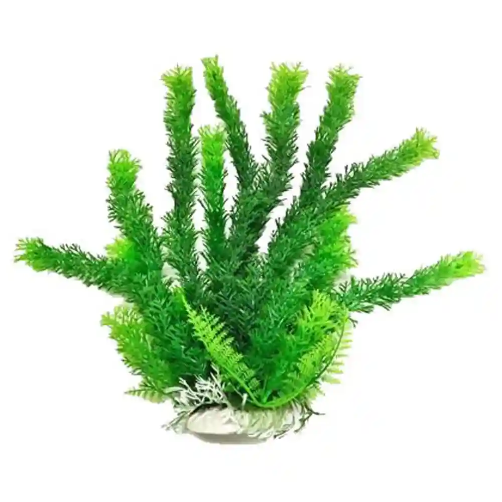 Plant Cabomba Green 6"