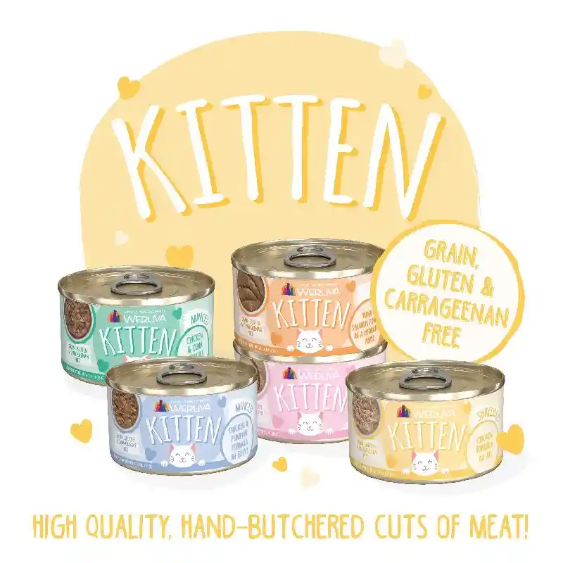 WRV Kitten Chicken & Pumpkin Cat Can 3oz