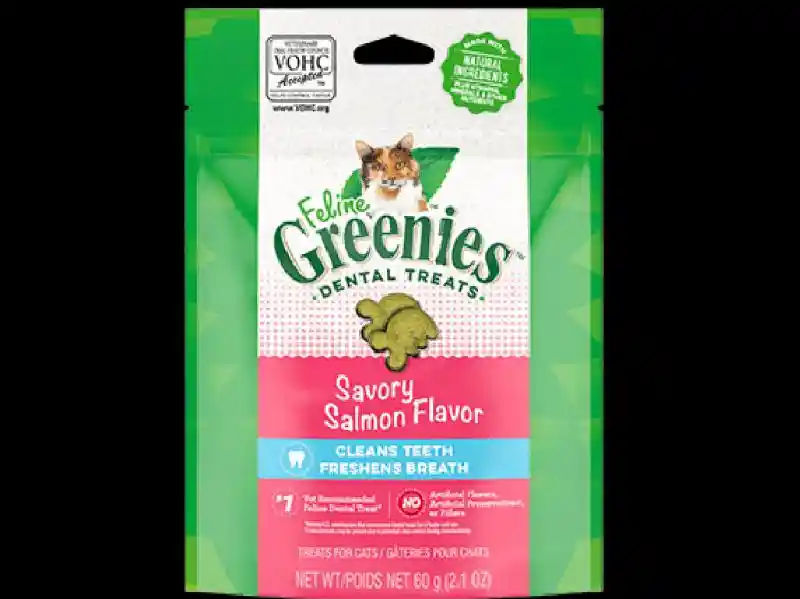 Adult Dental Care Savory Salmon Cat Treats - 2oz Pouch