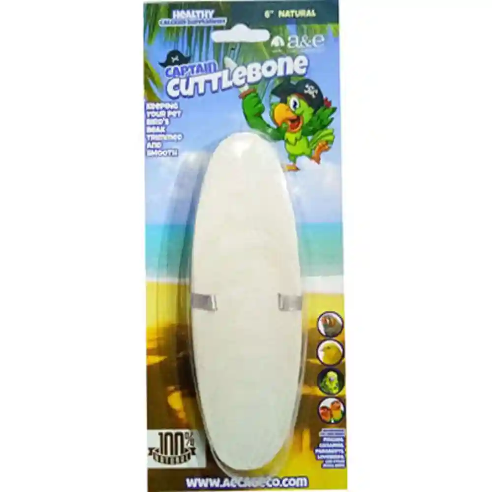 A&e Natural Cuttlebone Natural 6 Inch