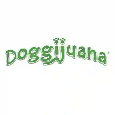 Image Alternative Text