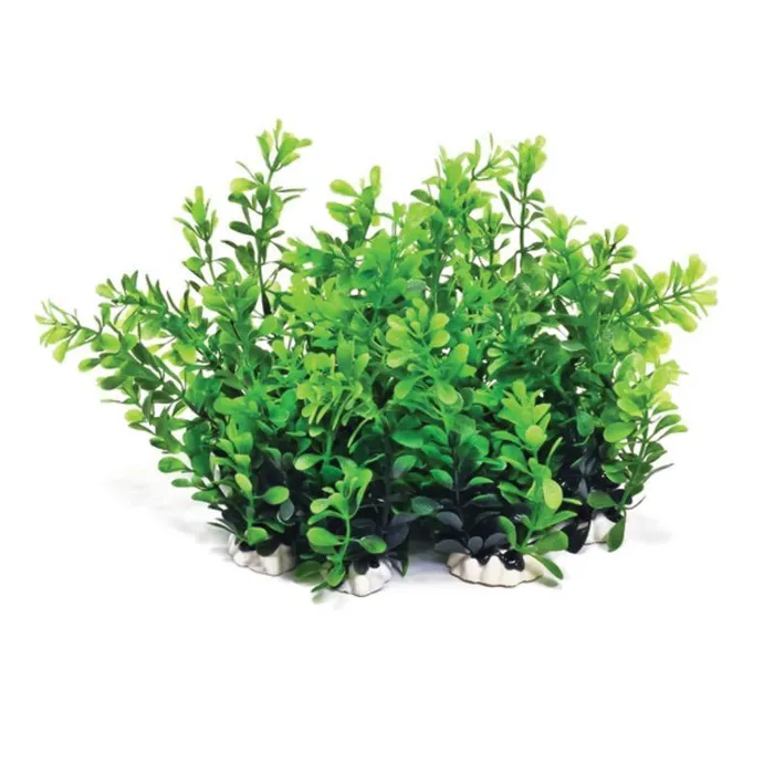 Profit Power Pack Plant Green 6"