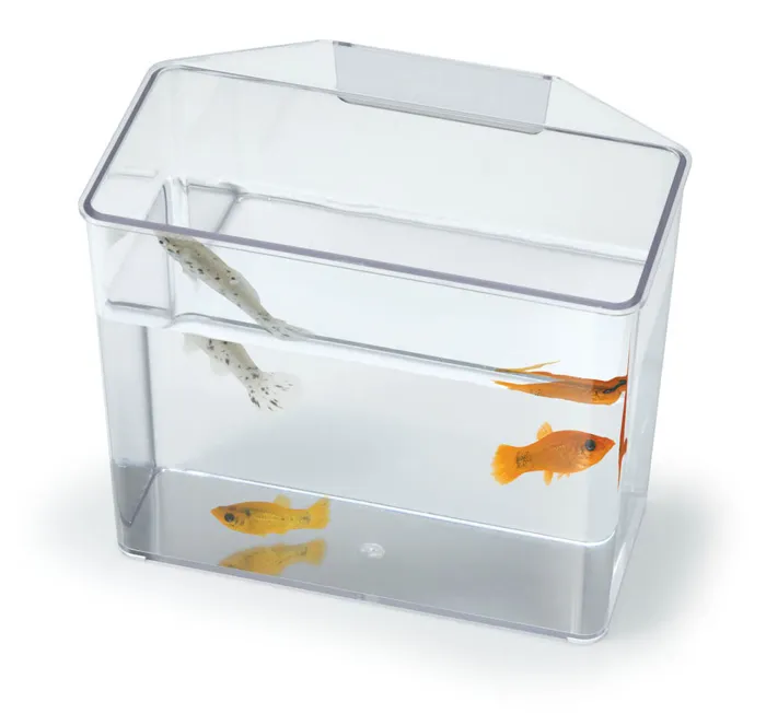 Specimen Container Heavy Duty Large