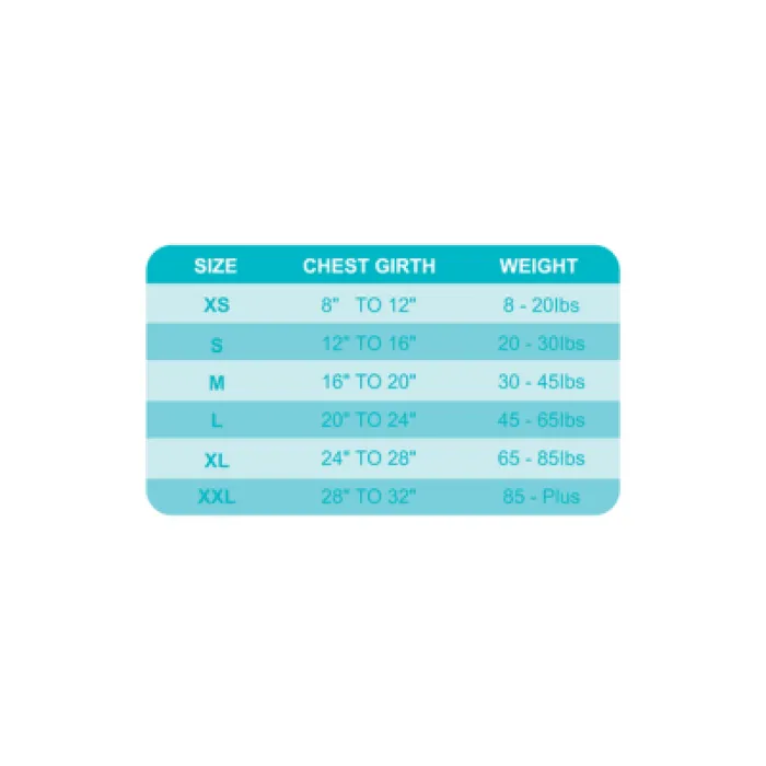 Zen ZenCone Small