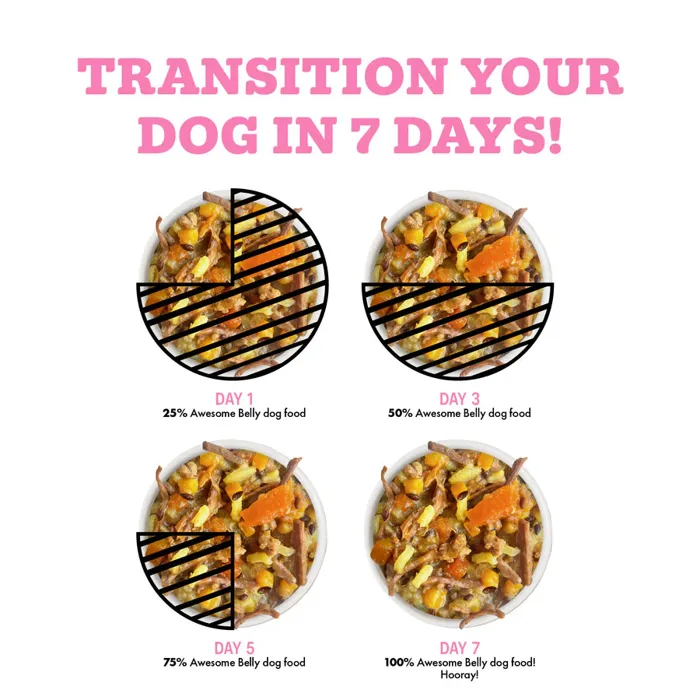 Weruva Dog Awesome Belly Chicken & Pumpkin 6-oz