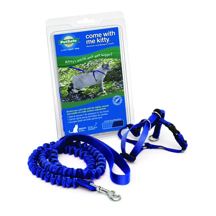 Harness & Bungee Leash Small Royal Blue Small