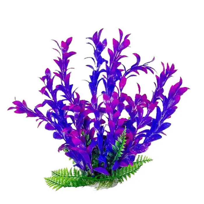 ATP Plant Hygro Pink/purple 6"