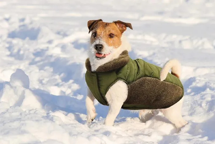 Fashion Puffy Coat Olive Sm