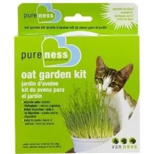 Pure Ness Organic Oat Garden Kit 1 Oz