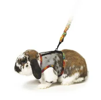 KAY Comfort Harness & Leash Large
