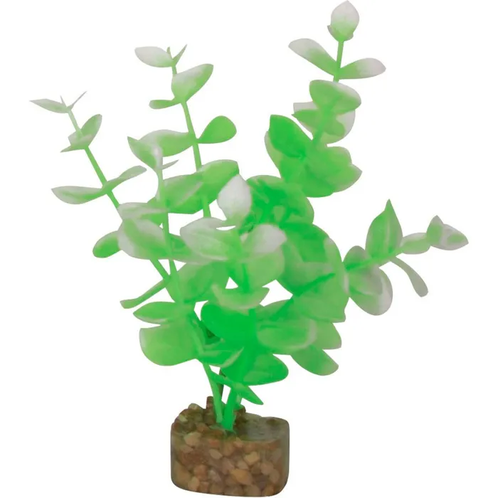 Tet Plnt Glofish Flo Gn/wh Sm