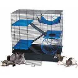 My First Home Large For Exotics 30x18"