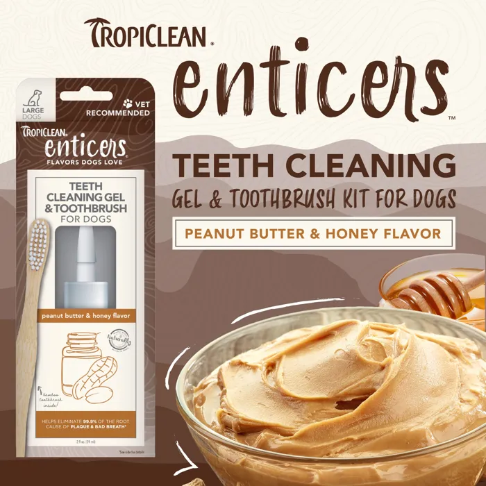 Tropiclean Teeth Gel And Toothbrush Pb Honey Lg 2