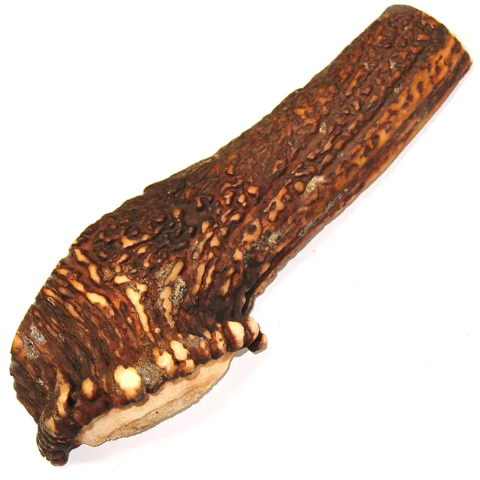 The Natural Dog Royal Brown Antler Large Split