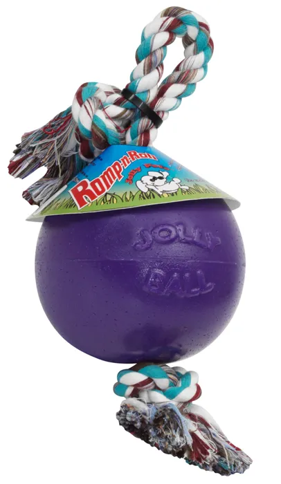Romp N Roll 4.5" Ball Purple