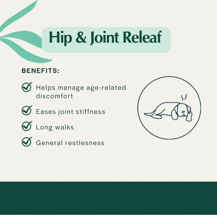 Pet Releaf Hip & Joint Releaf 600mg 1-oz