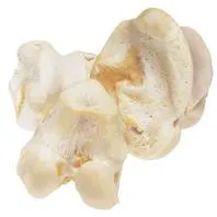 White Knuckle Bone