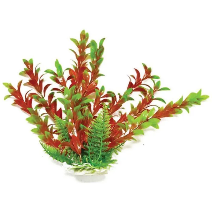 Aquatop Hygro Plant Green/red 12"