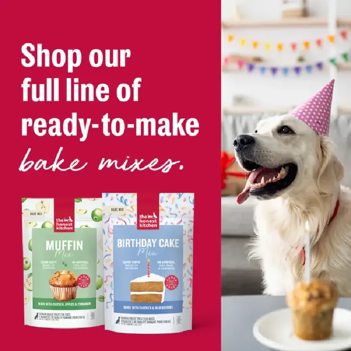 Hk Treat Birthday Cake Mix Chicken & Blueberries