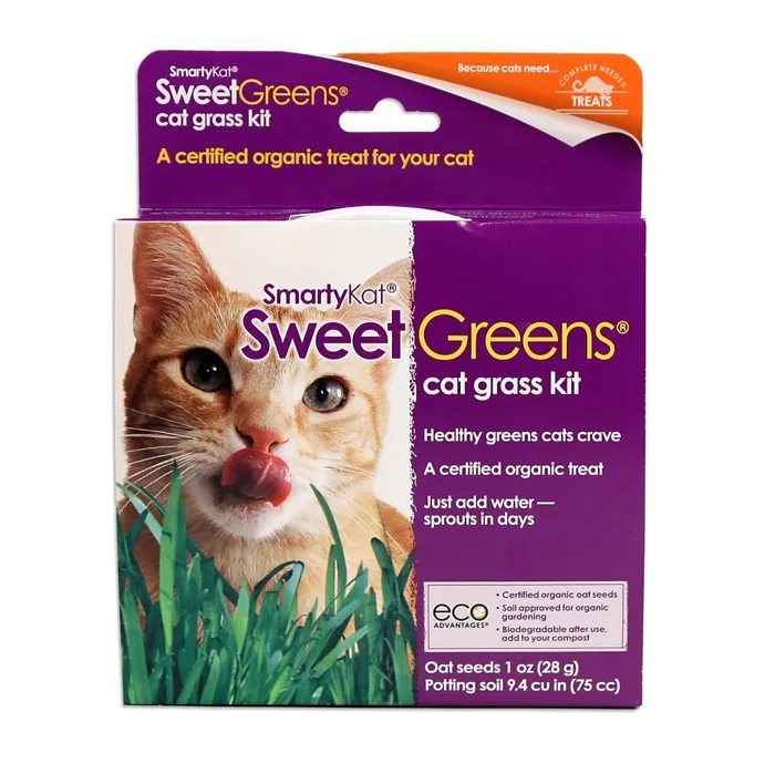 Wwi Treat Smartykat Sweetgreen
