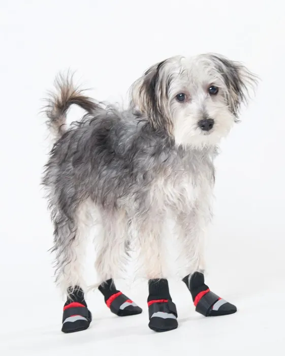 Fashion Pet Extreme Boots Red Lg