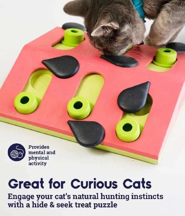Outward Hound Melon Madness Cat Puzzle Lvl2