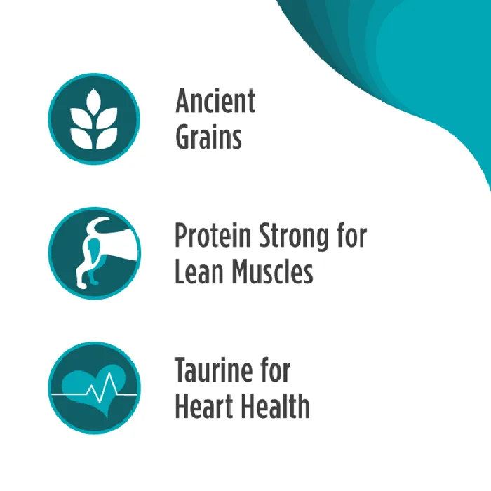 Frontrunner Ancient Grains Small Breed Turkey, Whitefish & Quinoa Recipe Dry Dog Food 11-lb