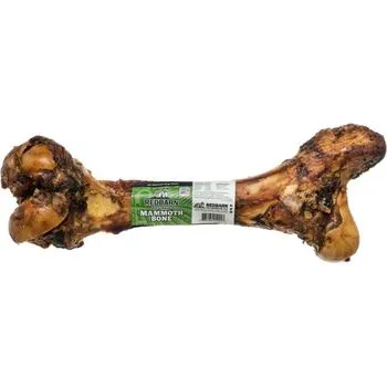 Mammoth Bone