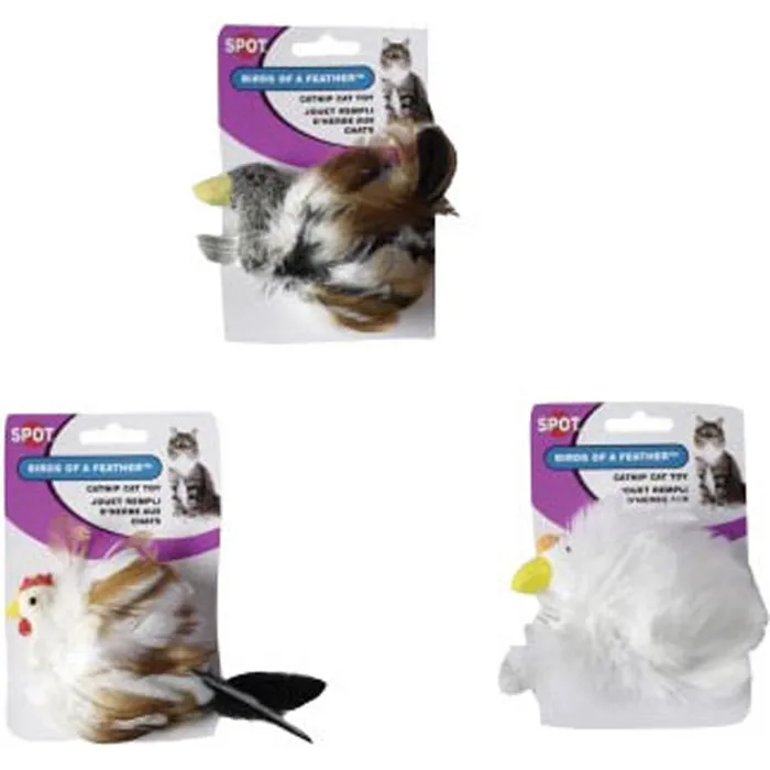 Feather Birds Assorted
