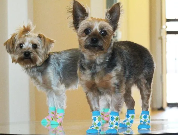 Non-skid Dog Socks - Camo X-large